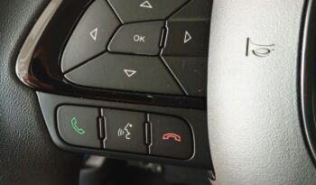 FIAT Panda Urban 1.0cc GSE 70cv ΜΥ24 GSR2 Pandina full