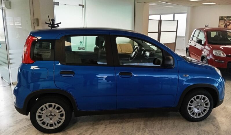 FIAT Panda Urban 1.0cc GSE 70cv ΜΥ24 GSR2 Pandina full