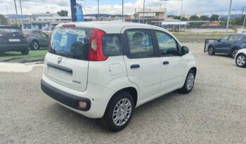 FIAT Panda Urban 1.0cc GSE 70cv GSR2 full