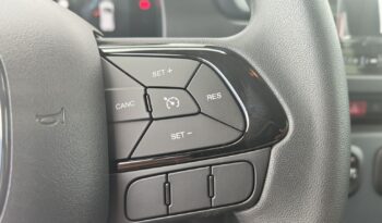 FIAT Panda Urban 1.0cc GSE 70cv GSR2 full