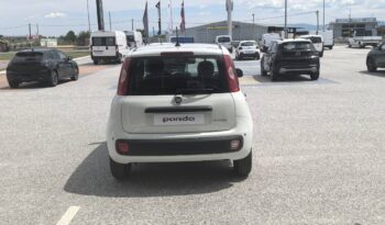 FIAT Panda Urban 1.0cc GSE 70cv GSR2 full
