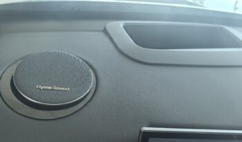 GEELY STARRAY EM-i TECH full