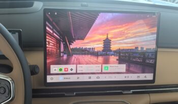 GEELY STARRAY EM-i TECH full