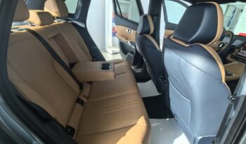 GEELY STARRAY EM-i TECH full