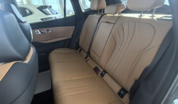 GEELY STARRAY EM-i TECH full