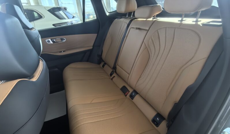 GEELY STARRAY EM-i TECH full