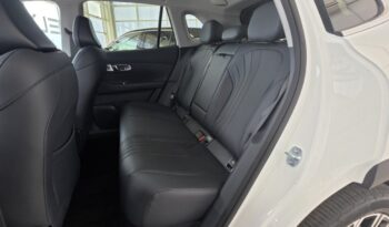 GEELY STARRAY EM-i PHEV TECH full