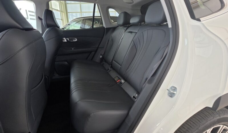 GEELY STARRAY EM-i PHEV TECH full