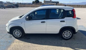 FIAT Panda Urban 1.0cc GSE 70cv GSR2 (ΕΝ) full