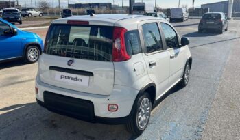 FIAT Panda Urban 1.0cc GSE 70cv GSR2 (ΕΝ) full
