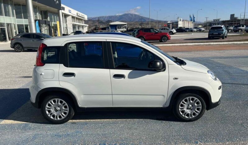 FIAT Panda Urban 1.0cc GSE 70cv GSR2 (ΕΝ) full