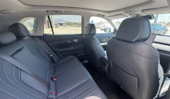 GEELY STARRAY EM-i PHEV TECH full
