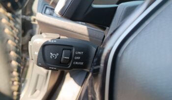 Peugeot 3008 1.5 BlueHdi 130HP AT8 (Φ) full