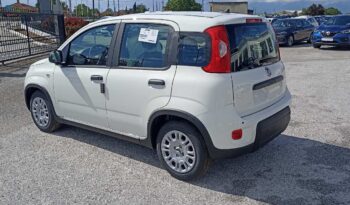 FIAT NEW PANDA Pandina Icon 1.0 MHEV 65HP MY26 full