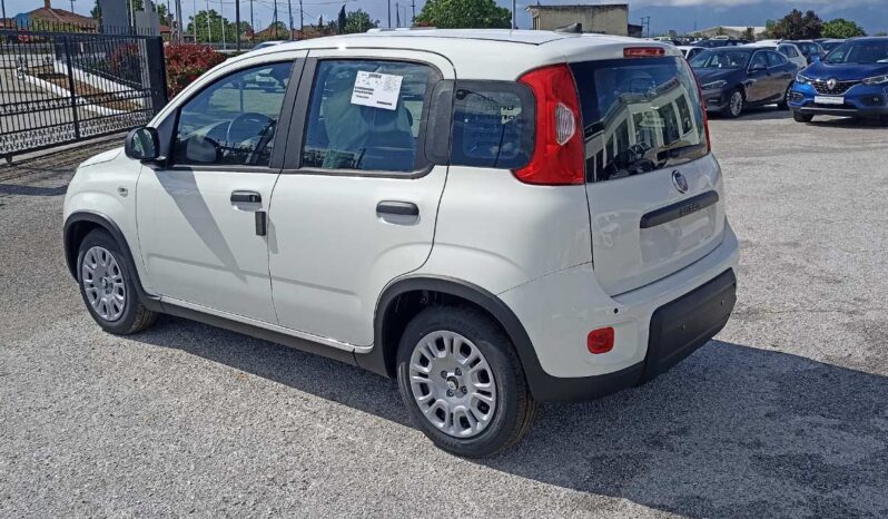 FIAT NEW PANDA Pandina Icon 1.0 MHEV 65HP MY26 full