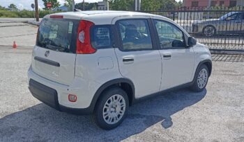 FIAT NEW PANDA Pandina Icon 1.0 MHEV 65HP MY26 full