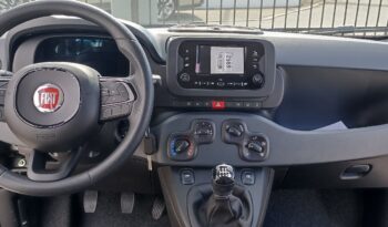 FIAT NEW PANDA Pandina Icon 1.0 MHEV 65HP MY26 full