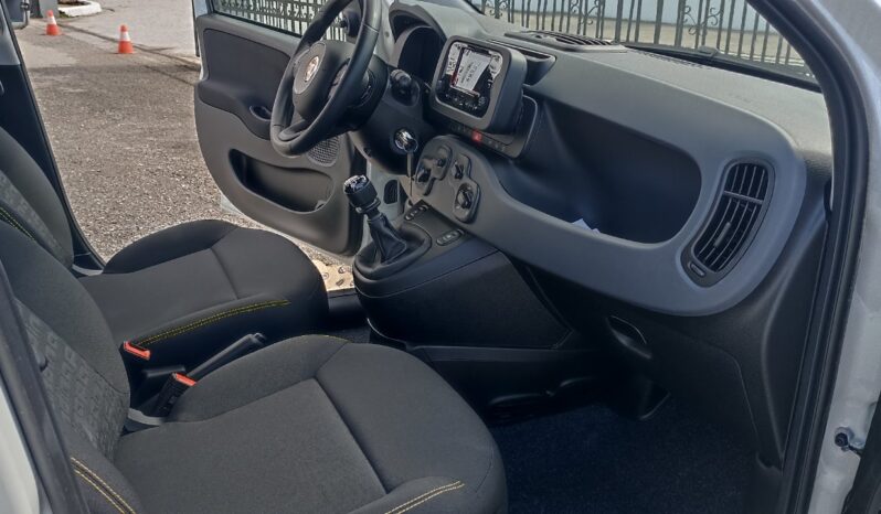 FIAT NEW PANDA Pandina Icon 1.0 MHEV 65HP MY26 full