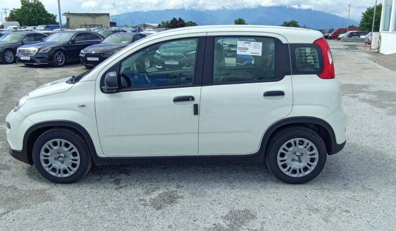 FIAT NEW PANDA Pandina Icon 1.0 MHEV 65HP MY26 full