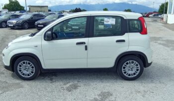 FIAT NEW PANDA Pandina Icon 1.0 MHEV 65HP MY26 full