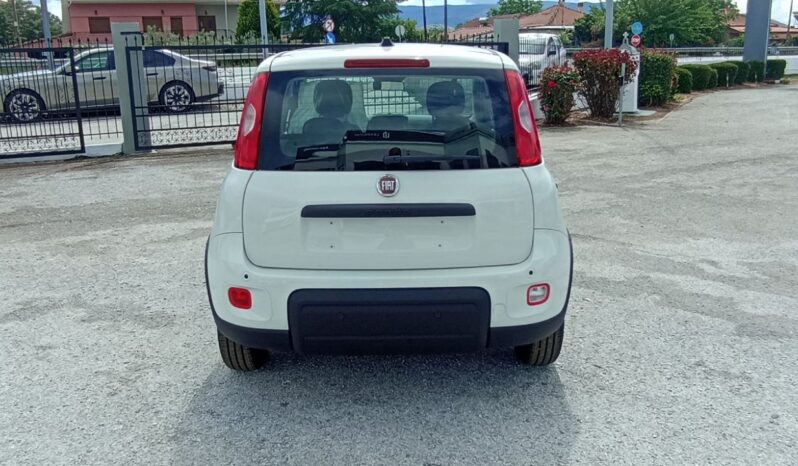FIAT NEW PANDA Pandina Icon 1.0 MHEV 65HP MY26 full