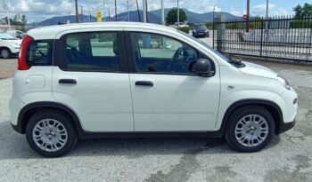 FIAT NEW PANDA Pandina Icon 1.0 MHEV 65HP MY26 full