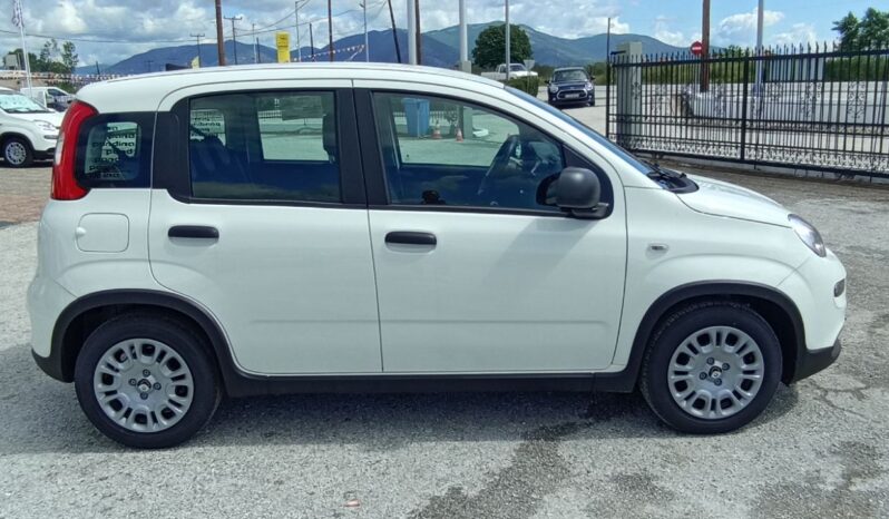 FIAT NEW PANDA Pandina Icon 1.0 MHEV 65HP MY26 full