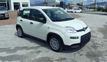 FIAT NEW PANDA Pandina Icon 1.0 MHEV 65HP MY26 full