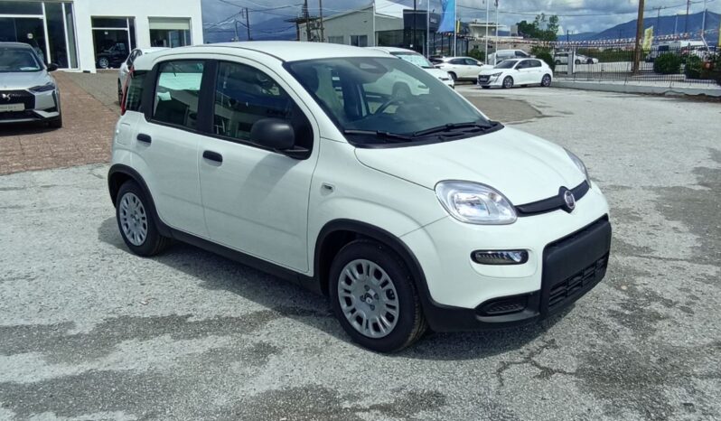 FIAT NEW PANDA Pandina Icon 1.0 MHEV 65HP MY26 full