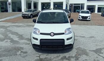 FIAT NEW PANDA Pandina Icon 1.0 MHEV 65HP MY26 full