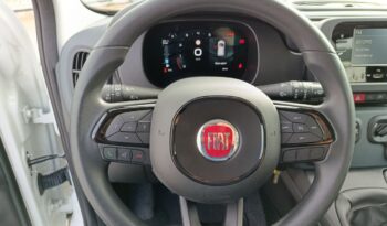 FIAT NEW PANDA Pandina Icon 1.0 MHEV 65HP MY26 full