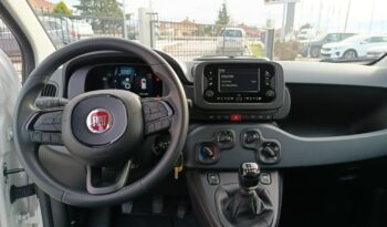 FIAT NEW PANDA Pandina Icon 1.0 MHEV 65HP MY26 full