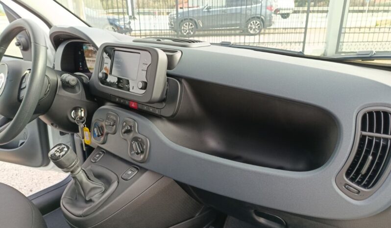 FIAT NEW PANDA Pandina Icon 1.0 MHEV 65HP MY26 full
