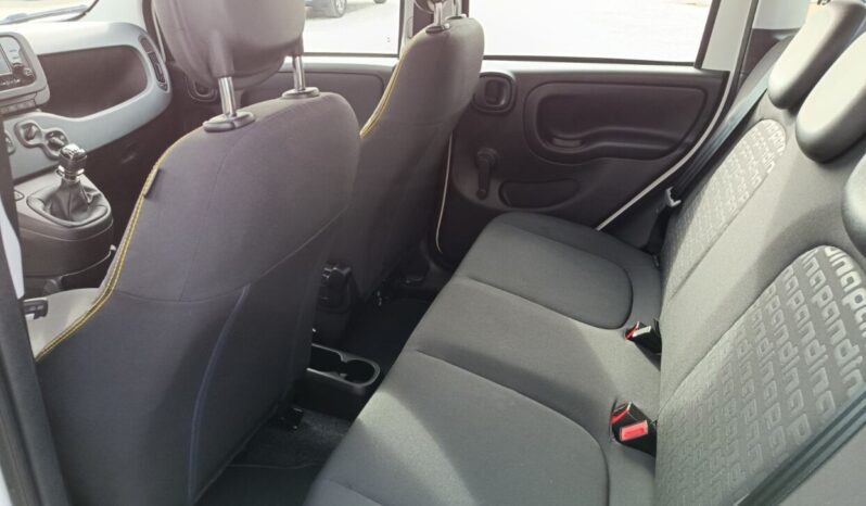 FIAT NEW PANDA Pandina Icon 1.0 MHEV 65HP MY26 full