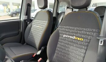 FIAT NEW PANDA Pandina Icon 1.0 MHEV 65HP MY26 full