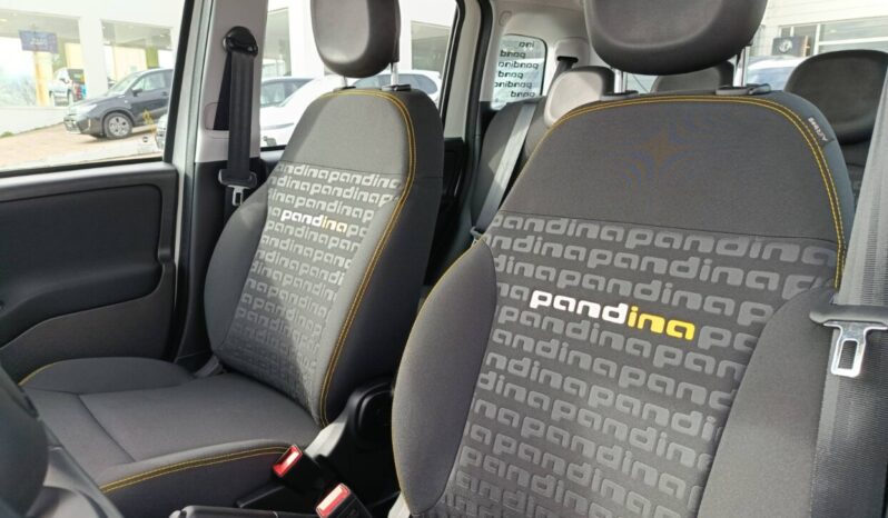FIAT NEW PANDA Pandina Icon 1.0 MHEV 65HP MY26 full