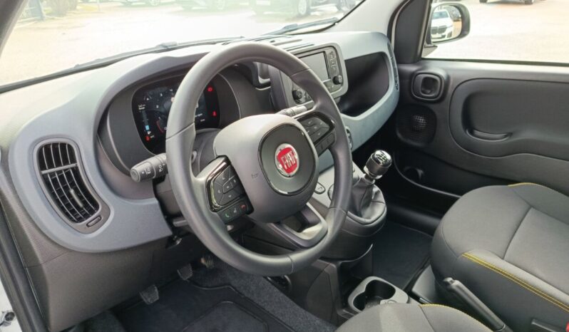 FIAT NEW PANDA Pandina Icon 1.0 MHEV 65HP MY26 full