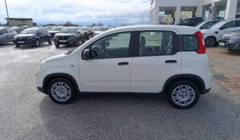 FIAT NEW PANDA Pandina Icon 1.0 MHEV 65HP MY26 full
