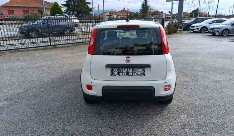 FIAT NEW PANDA Pandina Icon 1.0 MHEV 65HP MY26 full