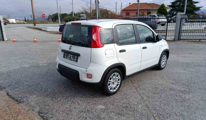 FIAT NEW PANDA Pandina Icon 1.0 MHEV 65HP MY26 full
