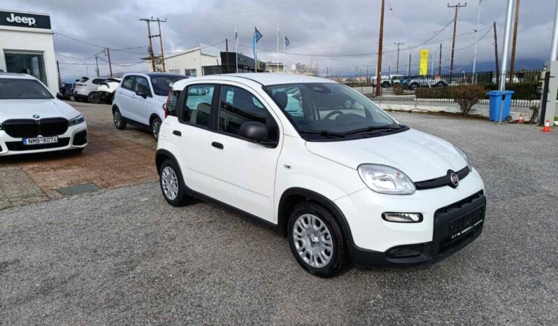 FIAT NEW PANDA Pandina Icon 1.0 MHEV 65HP MY26 full