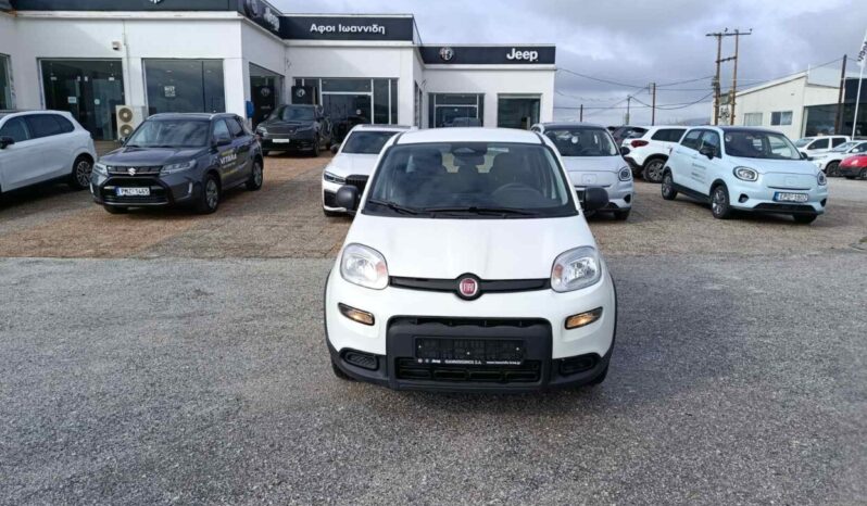 FIAT NEW PANDA Pandina Icon 1.0 MHEV 65HP MY26 full