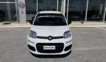 FIAT NEW PANDA Pandina Icon 1.0 MHEV 65HP MY26 full