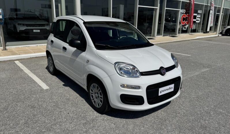 FIAT NEW PANDA Pandina Icon 1.0 MHEV 65HP MY26 full