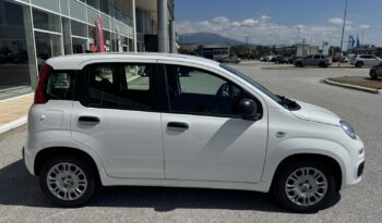 FIAT NEW PANDA Pandina Icon 1.0 MHEV 65HP MY26 full