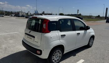 FIAT NEW PANDA Pandina Icon 1.0 MHEV 65HP MY26 full