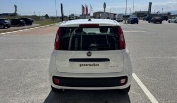 FIAT NEW PANDA Pandina Icon 1.0 MHEV 65HP MY26 full