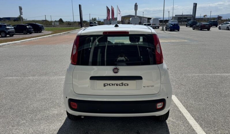 FIAT NEW PANDA Pandina Icon 1.0 MHEV 65HP MY26 full