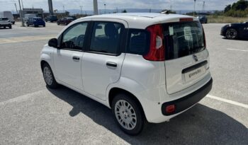 FIAT NEW PANDA Pandina Icon 1.0 MHEV 65HP MY26 full