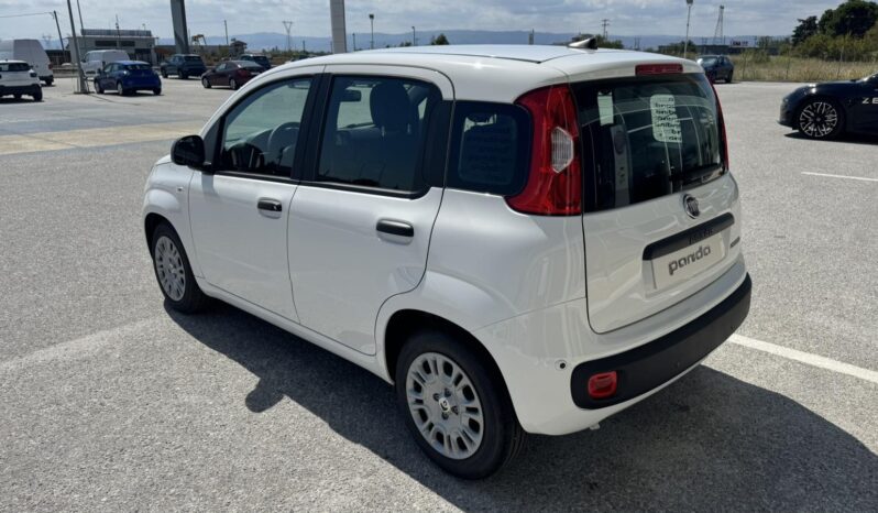 FIAT NEW PANDA Pandina Icon 1.0 MHEV 65HP MY26 full